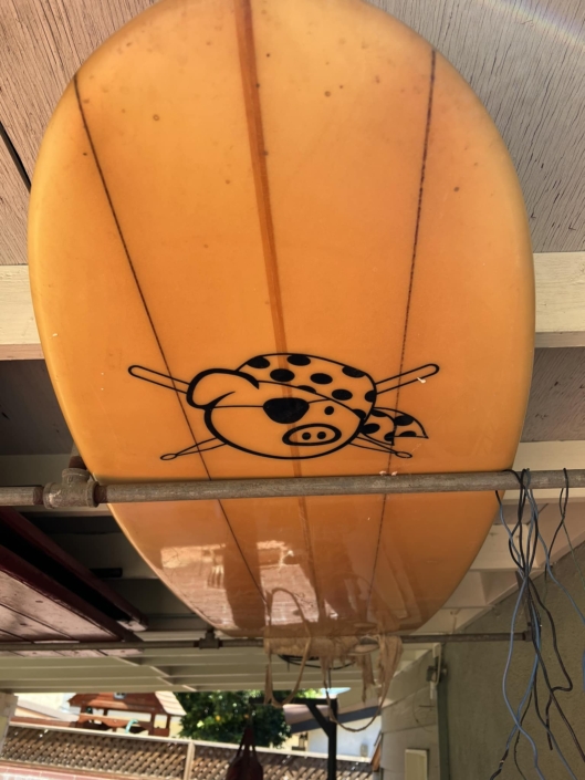 Bill's Long Board